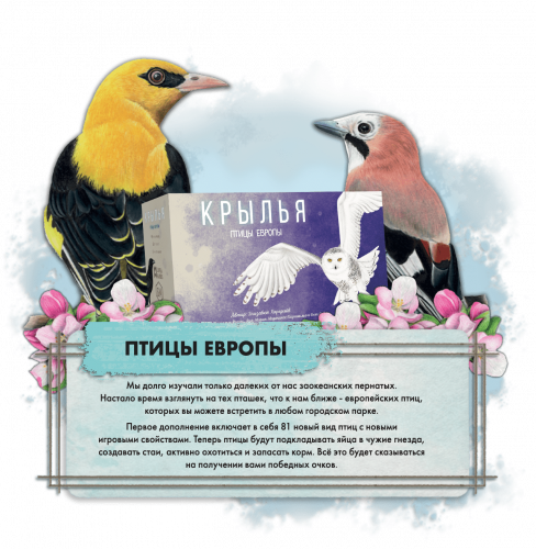 Настольная игра - Крылья: Птицы Европы (Wingspan: European Expansion) дополнение RUS