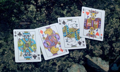 Аксессуары - Игральные Карты Theory11 Animal Kingdom Playing Cards