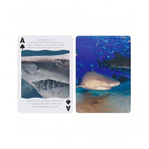 Игральные карты - Игральные карты Bicycle Shark Playing Cards