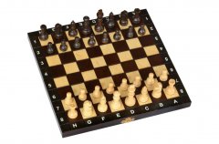  - Шахматы Школьные (Chess) 3154